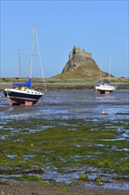 Sailing boats at low tide in the bay off Lindisfarne Castle