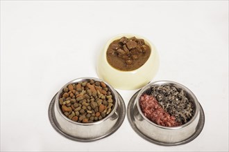 Dog bowls with wet food