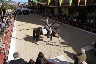 Female rider on Andalusian horse performs at the annual All Saints Market in Cocentaina