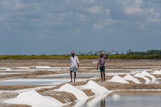 Saline workers