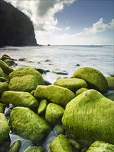 Rocks and seaweed on the beach of Napali Coast