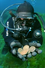 Scuba diver presenting some underwater treasure