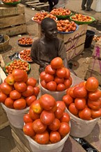 Child selling imported tomatoes