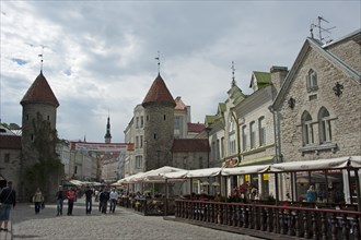 City walls and Viru Gate