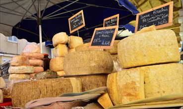 Various types of cheeses at a market stall