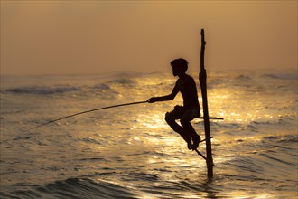 Stilt fisherman fishing in shallow water