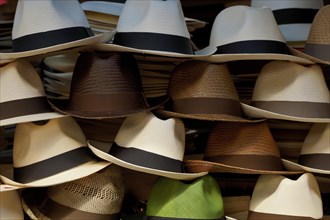Stacked Panama hats