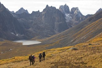 People hiking in arctic or subalpine tundra