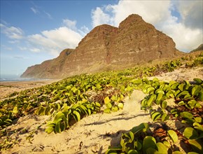 Sandy beach on the Napali Coast