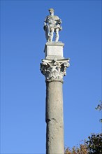 Hercules column