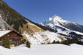 Mountain hut in Warth