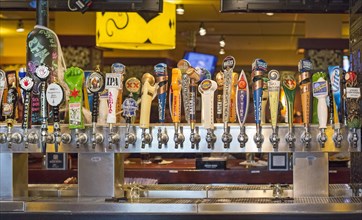 Beer on tap at Bar Louie at the Holiday Inn O'Hare