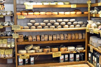 Pecorino cheese on sale in a specialty shop