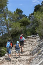 Ascent to Castell d'Alaro