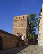 City walls and Leaning Tower