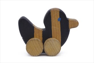 Tiger duck