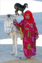 A young Bedouin girl with a goatling standing on the back of a donkey