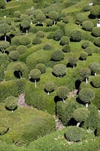 Les Jardins suspendus de Marqueyssac gardens