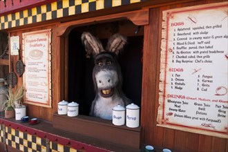 Donkey serving in a snack bar