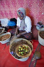 Women cracking argan nuts at the Cooperative Marjana