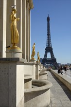 The Eiffel Tower from the Place du Trocadero