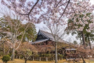 Shinsho Gokurakuji or Shinnyo-do Temple