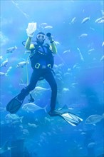 Diver cleans the glass surface in the aquarium