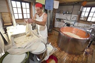 Dairyman pouring the cottage cheese into a form