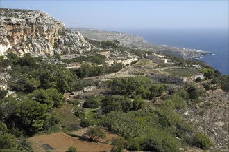 South coast at Dingli Cliffs