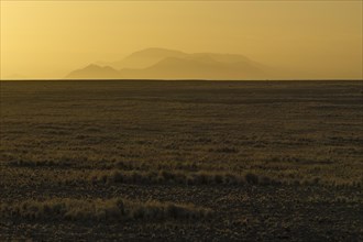 Landscape of the Namib Desert at sunrise