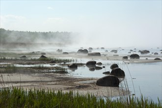 Boulders in the mist of the Baltic Sea