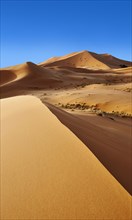 Sand dunes
