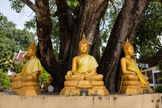 Buddha statues under a tree at Wat Si Khun Muang Temple