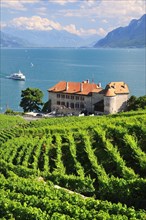 Views over the vineyards with Chateau de Glerolles and Lake Geneva towards the Swiss Rhone Valley