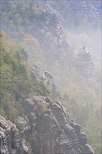 Rocks in fog in autumn