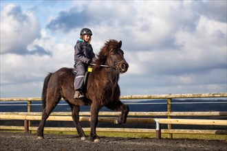 Girl riding an Icelandic Horse in a tolt gait