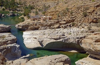 A pool filled with green water surrounded by the rocks of the desert