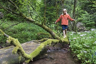 Boy balancing barefoot on a mossy tree trunk at a stream