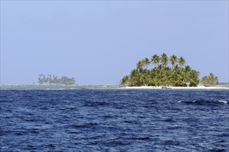 Islands with palm trees