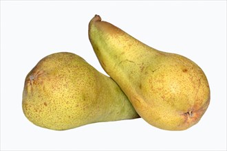 Pears (Pyrus communis)
