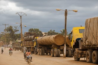 Trucks loaded with tropical timber from Congo on the main road