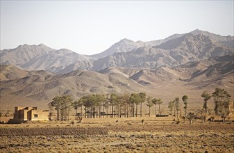 Isolated house and trees in the Kuhrud Mountains