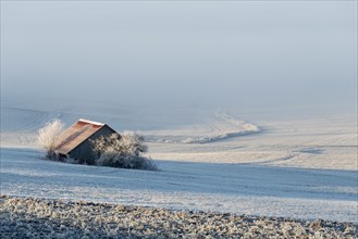 Barn in a field