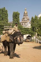 Mahout riding an Indian elephant
