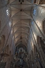 Gothic vault with organ loft and rose window
