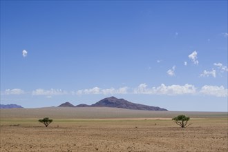 The Bushmann Hill in the Namib Desert