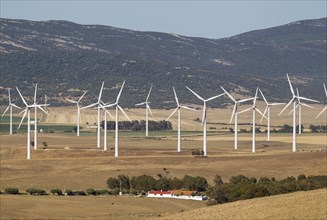 Windmills on a wind farm near Tarifa