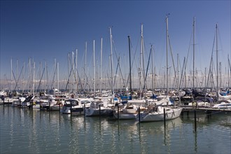 Sailboats in the marina