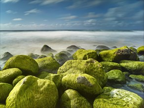 Rocks and seaweed on the beach of Napali Coast