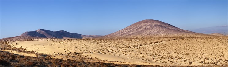 Desert-like landscape